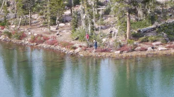 DSCF0983.webp