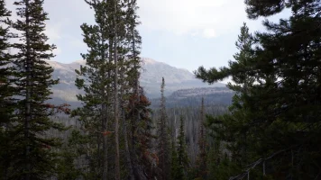 DSCF0988.webp