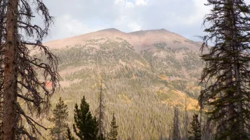 DSCF0997.webp