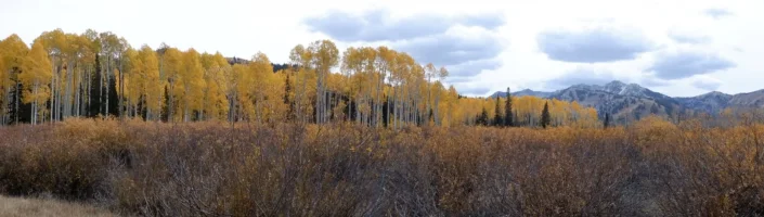 DSCF1031.JPG