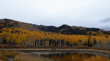 DSCF1034.JPG