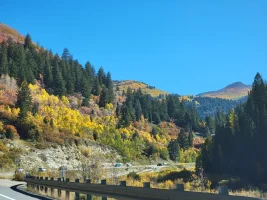 20211003_105302.webp