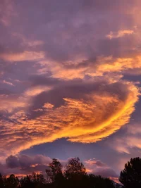 20211025_074723.webp