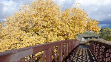 DSCF1127.JPG
