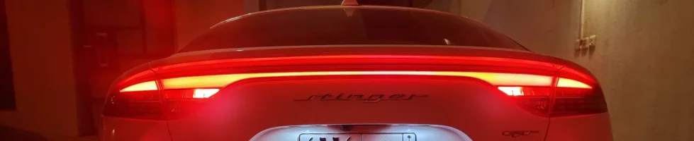 Rear.foglight.webp
