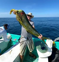 mahi .webp