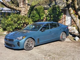 Stinger-front.webp Stinger-front.webp