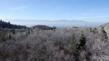 DSCF1171.JPG