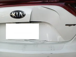 Stinger Damage 1.webp