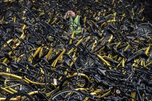 bike graveyard.webp