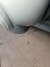 driver back door.webp