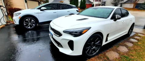 stinger and id.4 wet.webp