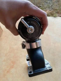 tial bov2.webp