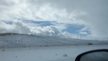 DSCF1251.webp