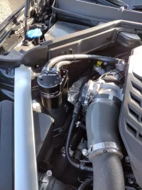 IMG_20220123_104721068_HDR.webp IMG_20220123_104721068_HDR.webp