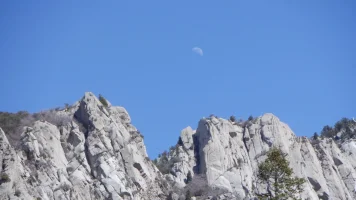 DSCF1409.webp