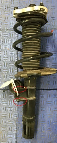 stingerstrut.webp
