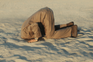 Head-in-the-sand-300x201.gif Head-in-the-sand-300x201.gif
