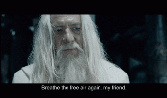 gandalf breathe the free air.gif gandalf breathe the free air.gif