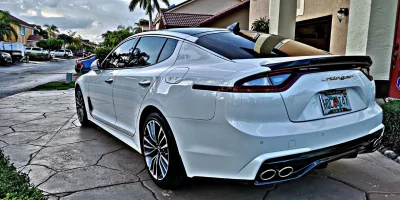 stingerHDR.webp