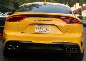 Stinger.webp