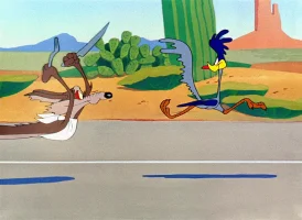 roadrunner.webp