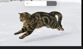 74F24324-83C8-4D39-8C72-3D20F70419C2.webp