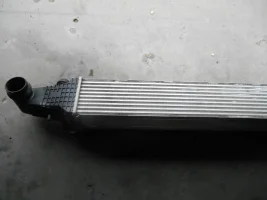 DSCN1580.webp
