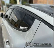 CF Visors 3.jpg CF Visors 3.jpg