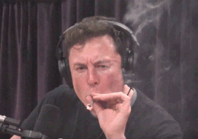 200.gif