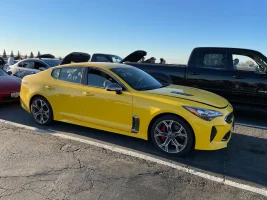 yellow_stinger.webp