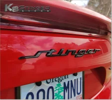 Stinger Script.jpg