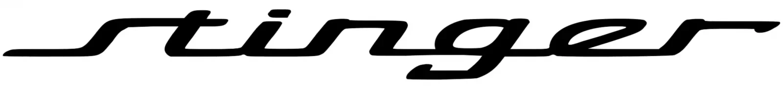 Stinger-script.webp