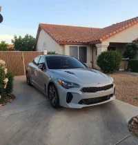 grey-stinger.webp