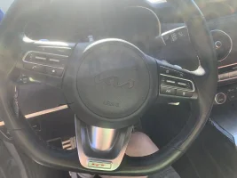 Overlay-Steering Wheel.webp