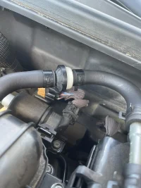 2019 Kia Stinger - Chewed wires.webp