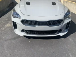 Stinger Front.webp