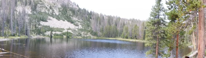 DSCF1714.webp