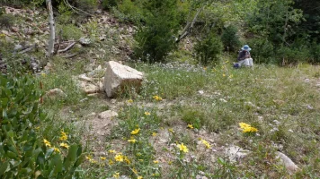 DSCF1735.webp