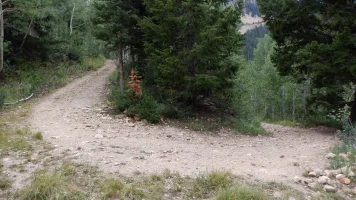 DSCF1736.webp