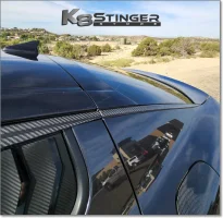 3rd pc Carbon Fiber Window Visors 2.webp