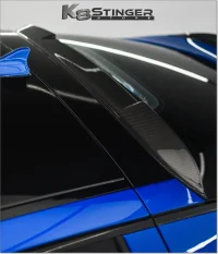 Roof Spoiler 1.jpg
