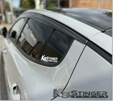 Window Visors.webp