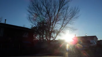 DSCF1908.webp
