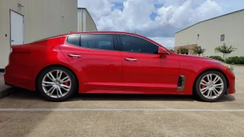 Stinger on 18s.webp