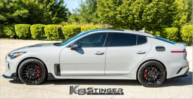 Kia_Stinger_Real_Carbon_fiber_gas_door_4_1024x1024.jpg Kia_Stinger_Real_Carbon_fiber_gas_door_4_1024x1024.jpg