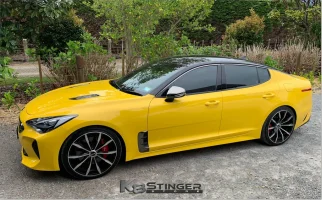 Stinger_H_R_Springs_lowered_1024x1024.jpg Stinger_H_R_Springs_lowered_1024x1024.jpg