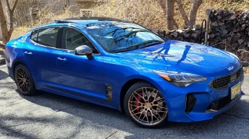 Stinger New shoes.webp