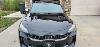 Stinger Front.webp