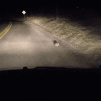 0D3A012F-58CB-4C5C-B99A-04EF13713CA4.gif